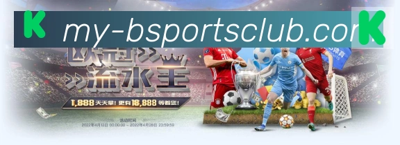 Bsports官网荣誉