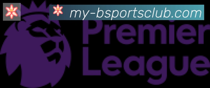 Bsports官网合作伙伴