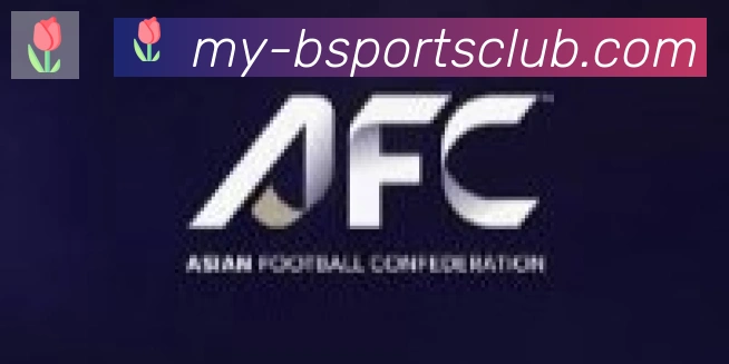Bsports官网合作伙伴