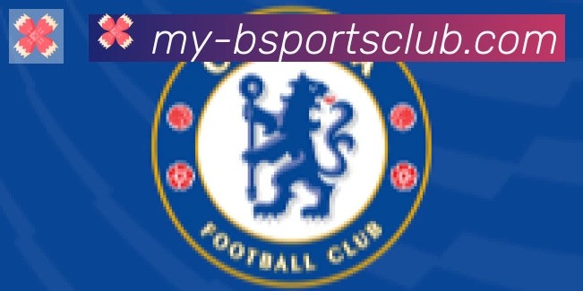 Bsports官网合作伙伴